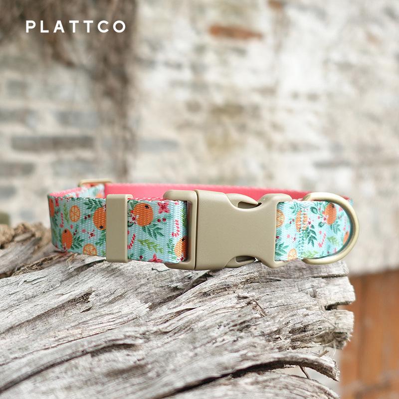 PLATTCO Sweet Orange Pet Collar PDC366 - Comfortable & Stylish XS 1.5cm (23-30cm)