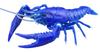 Fujimi Models Free Research Series 24 Living Creatures Edition American Crayfish Plastic Model Kit Free Research No. EX-1 (Blue) Non-scale Pre-colored