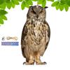 Bird Repel Scarecrow Durable Owl Scarer Pendant Bird Repellent Bell Pastoral Orchard Bird Scare Home Supp Home Flat Style