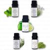 Aster Aroma - Bio ätherisches Öl