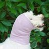 Geräuschreduzierung Hund Katze Kopfbedeckung Acrylfasern Haustier Ohrenschützer Warme Haustier Kopfumwicklung Hund Katze