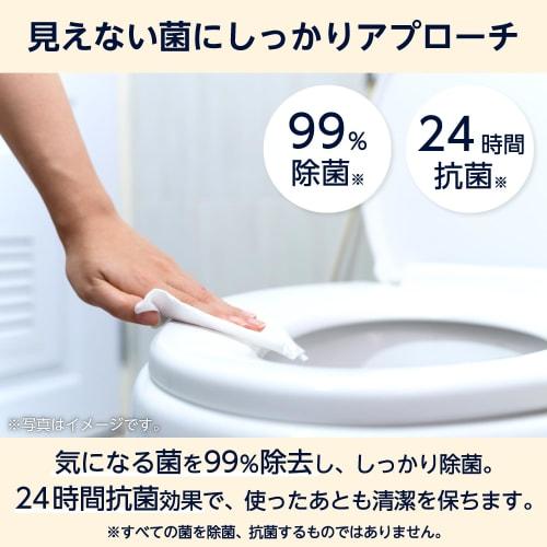 [Case Sale] Flushable Toilet Cleaner, Unscented, Large, Thick, 480 Sheets (10 Sheets X 48 Packs)