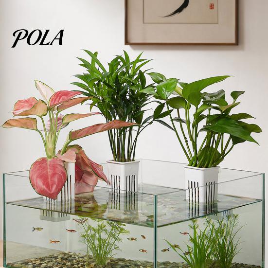Plastic Plant Cup Tank Container, Hydroponic Holder, Wall Mounted Holder Aquatic Pot, Aquarium Planter Pot Fish Decoration