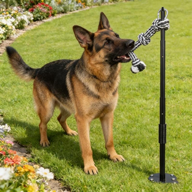 Langlebige Federstangen für Hunde mit elastischen Leinen Outdoor-Spielzeug Bewegung Spaß im Hof Gärten Sicher für große Hunde