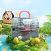 Hamster Cage Out Portable PP Semi-transparent Running Wheel Cage Large Space Hamster Cage Pet Supplies With Water Feeder Bottle