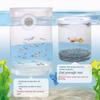 Plastic Aquarium Isolation Box Detachable Fish Tank Incubator  Spawning Room