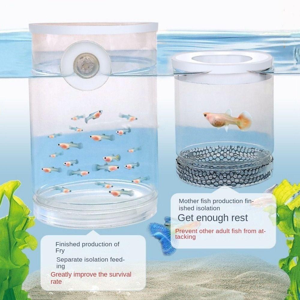 Plastic Aquarium Isolation Box Detachable Fish Tank Incubator Spawning Room