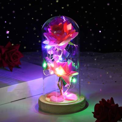 Rose Flower Gifts for Her Mom Wife Grandma Light Up Eternal Rose In A Dome Romantic Gift for Anniversary Birthday Valentine's Day Christmas