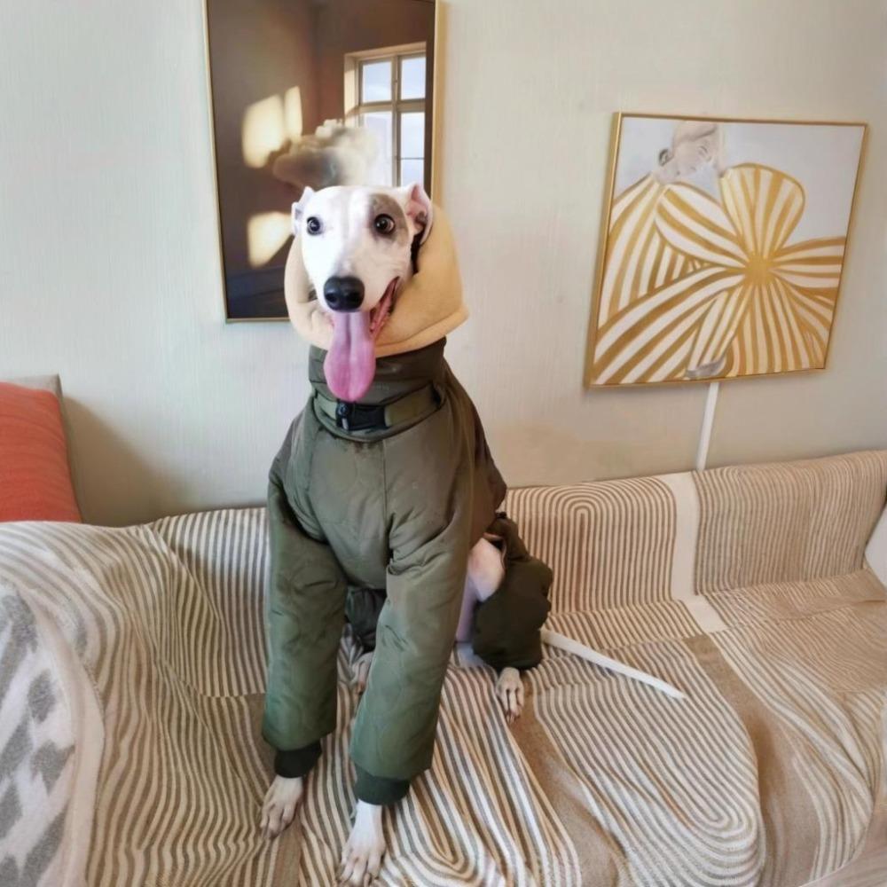 Whippet Dog Winter Clothes Doberman Thicken Large Dogs Clothes Warm Dalmatian Dog Clothing Windproof Pet Products Supplies S