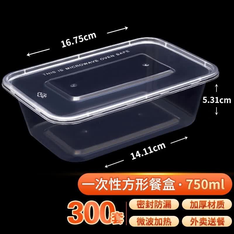 HANDUNYOU Disposable Rectangular Plastic Lunch Boxes with Lids
