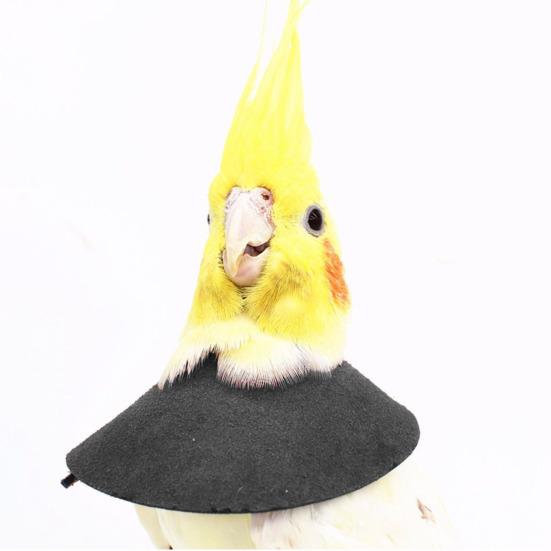 Yousheng Adjustable Parrot Recovery Collar Anti-Biting Injury Protection Fastener Tape Fixing Bird Collar Pet Bird Accessory