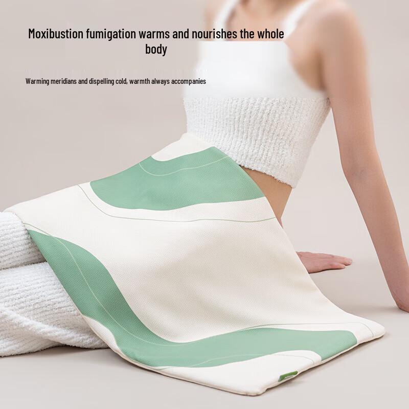 

Electric Wormwood Moxibustion Heating Pad