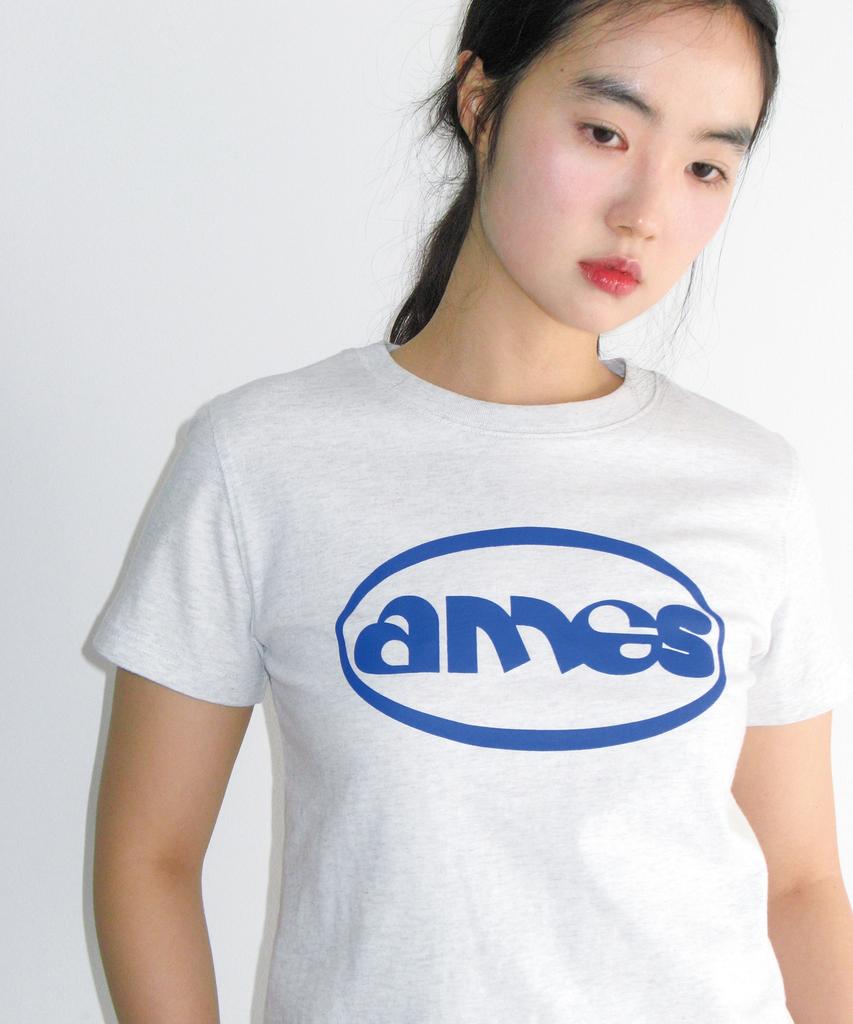 AMES-WORLDWIDE Ames Circle Logo Symbol Tee Light Gray