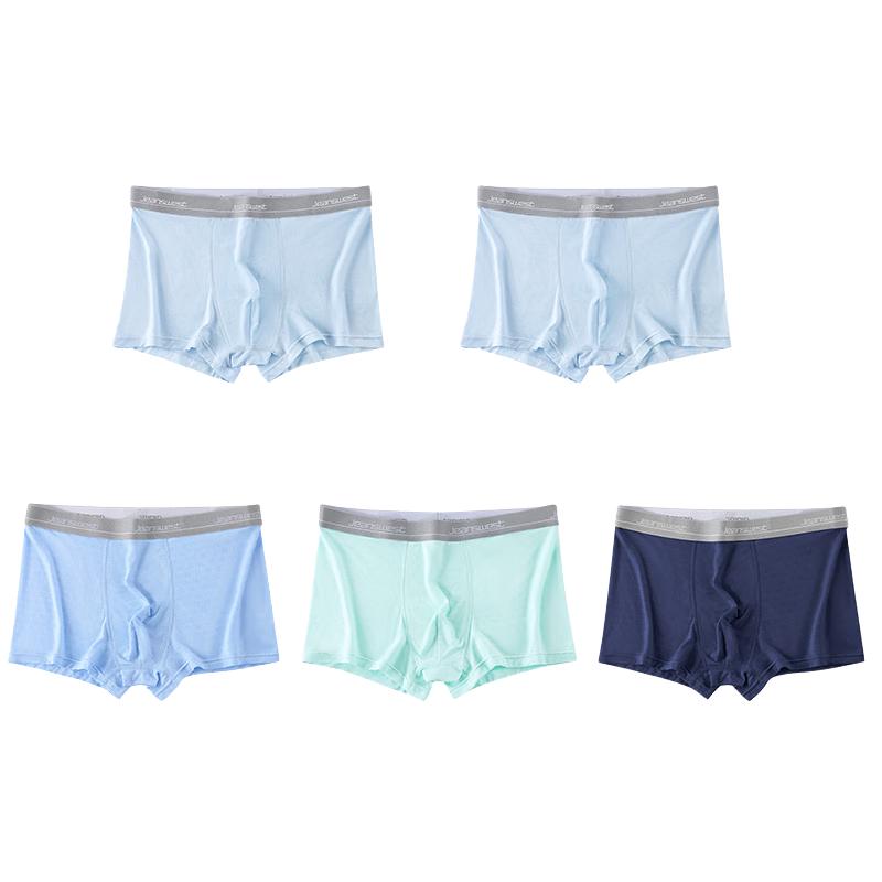 

JEANSWEST Boys Breathable Boxer Briefs 5-Pack L (90-100 lbs)