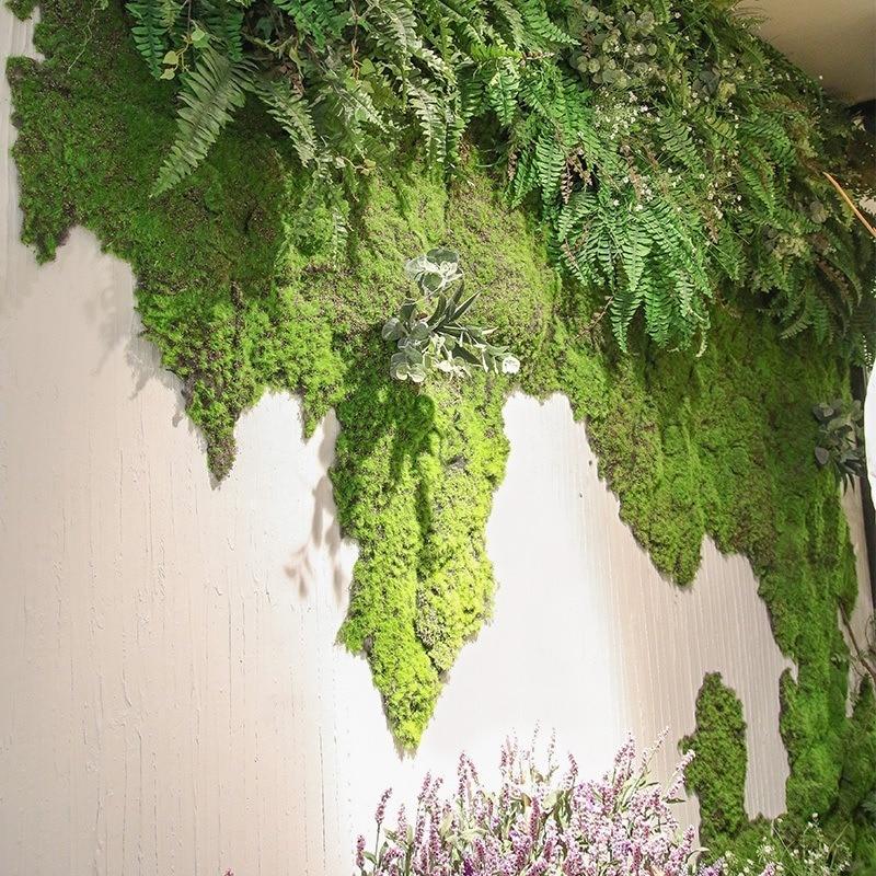 20g Artificial Flower Moss Grass Artificial Green Plant Immortal Living Room Decorative Wall DIY Flower Accessories