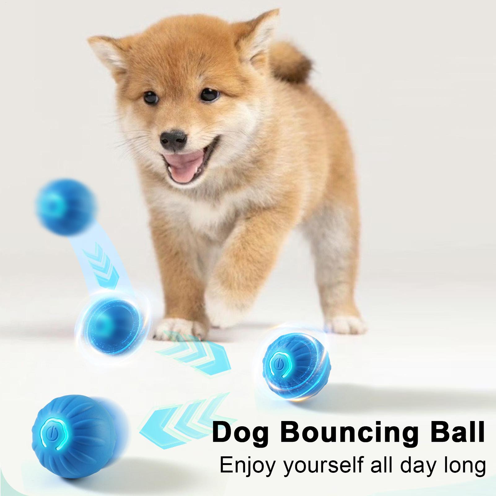 

Interactive Dog Toys Automatic Interactive Type-C Rechargeable Pet Games Small Dog Toys For Indoor Outdoor Play Training China Mainland