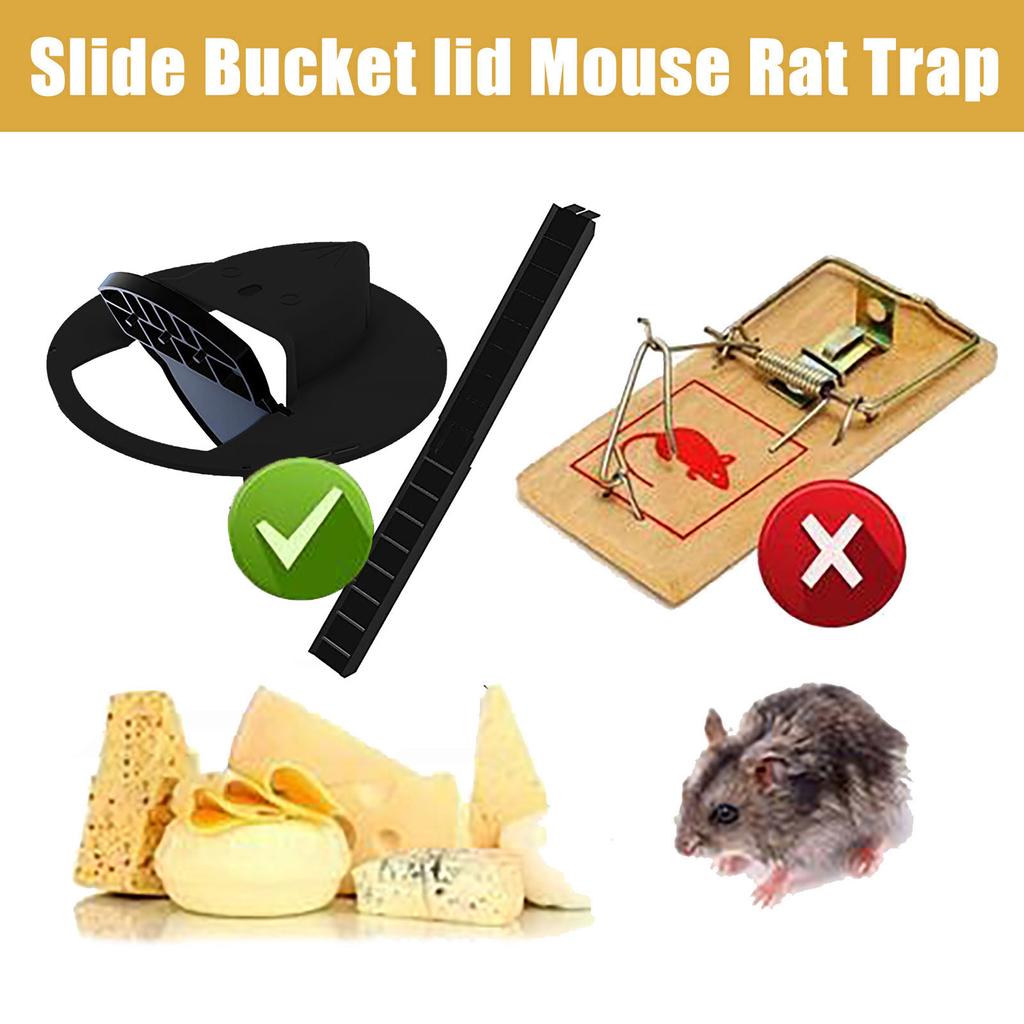 Bucket Lid Mouse Trap Humane Or Lethal Trap Door Style
