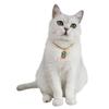Excellent Allergy Free Resin Cat Collar Cartoon Pendant Style Pet Neck Chain Birthday Gift