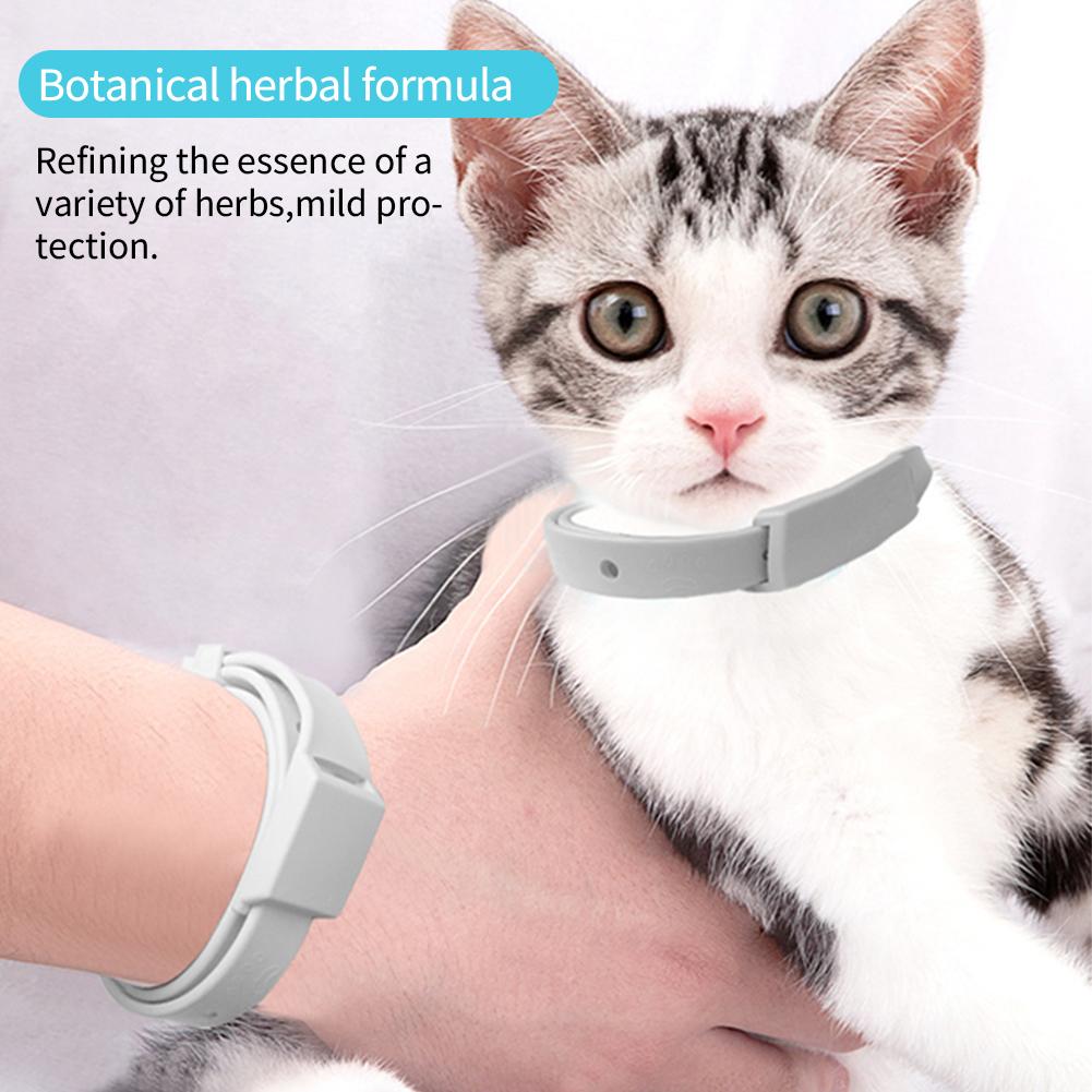 15/19 tommer Kjæledyr Antiparasittisk Halsbånd Anti Loppe Flått Midd Lus Avstøtende Hund Katt Halsbånd Ormekur Halsbånd Forsyninger 2 Års Holdbarhet