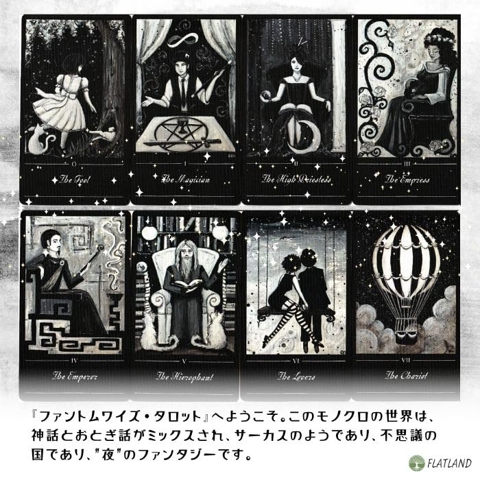 The Phantomwise Tarot, Tarot Reading Instructions, Japanese Instruction Manual Included, Authentic Tarot Cards, 78 Cards