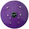 Magnetic Stepper Waist Twisting Fitness Equipment