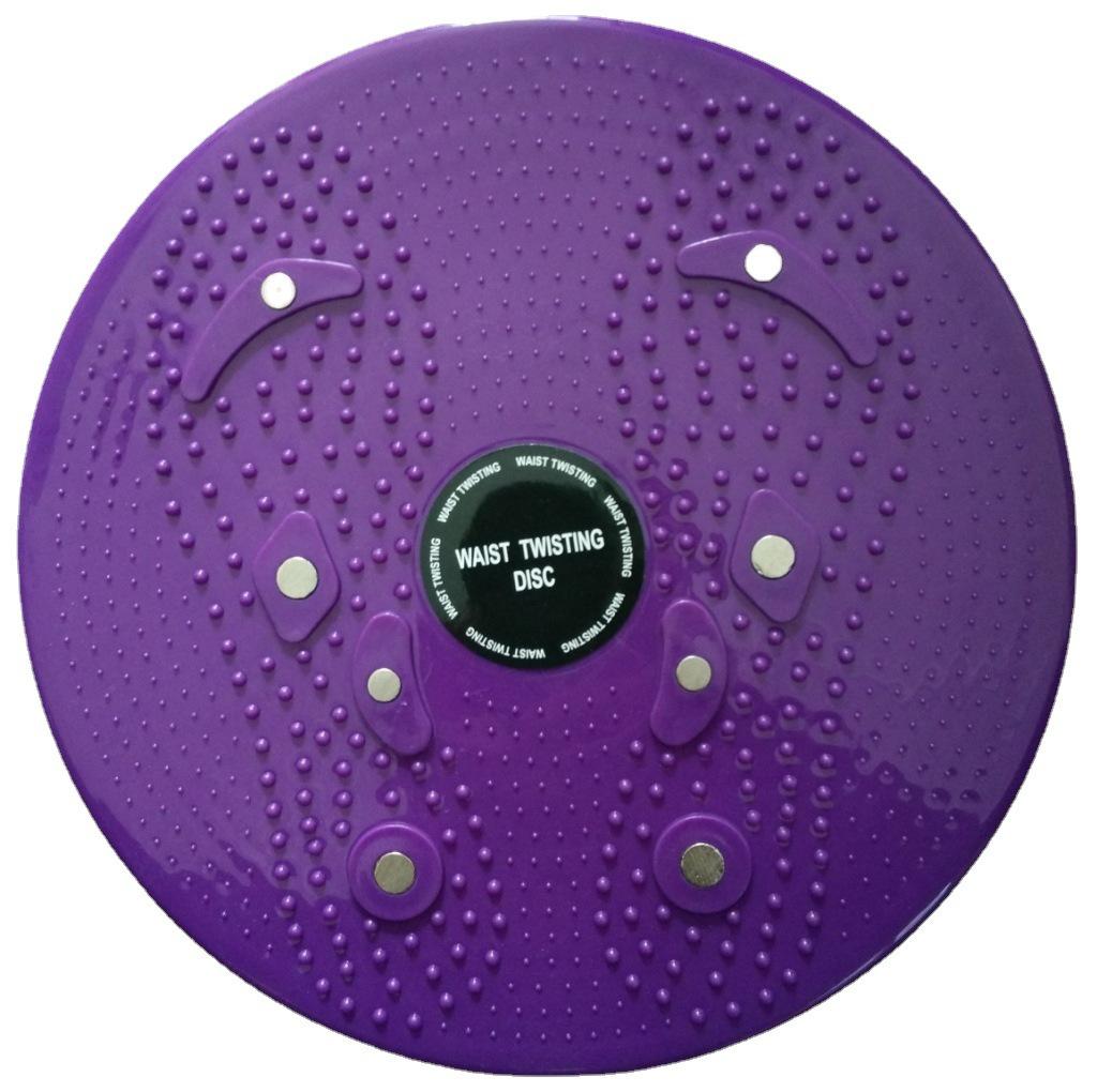 Magnetic Stepper Waist Twisting Fitness Equipment