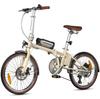Maxtron Smart20 Leichtes Elektrofahrrad – 250W Motor, 36V 5,2Ah Akku