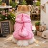 Pet Dog Warm Fleece Costume Small Breeds Winter Cozy Dinosaur Design Two-Legged Outfit