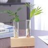 Test Tube Glass Vase Plant Propagation Station Hydroponic Vases for Plants with Wooden Stand Terrarium Office Home Desktop Decor