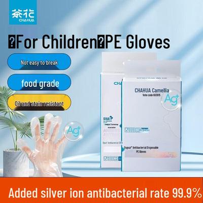 Thickened PE Disposable Gloves