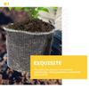 Metal Bag For Plant Root Protection Stainless Steel Garden Agricultural Net Bag Netting Flower Vegetable Guard Supplies