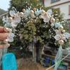 Elegant Girls Headband Imitated Pearl Hair Headdress Baby Girls Flower Wreath Bride Garland Head Hoop Wedding Hair Headbands