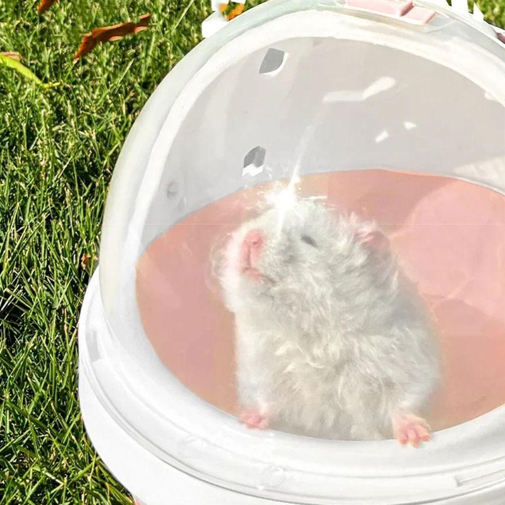 Safe Door Lock Small Animal Carrier Cage Portable Hamster Outgoing Bag Hamster Carry Box Hedgehog