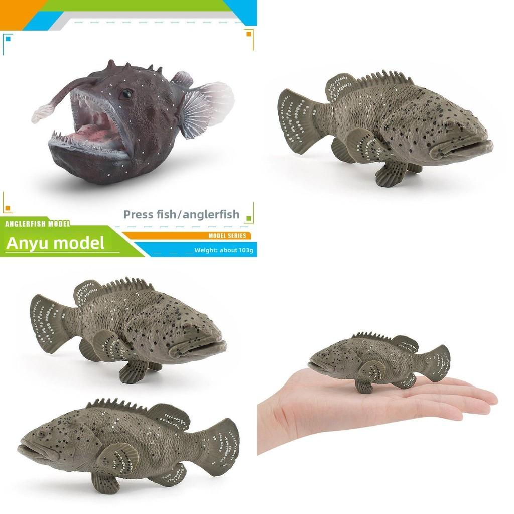 Sea Anglerfish Epinephelus Animal Fish Model Desktop Decor Collector Display