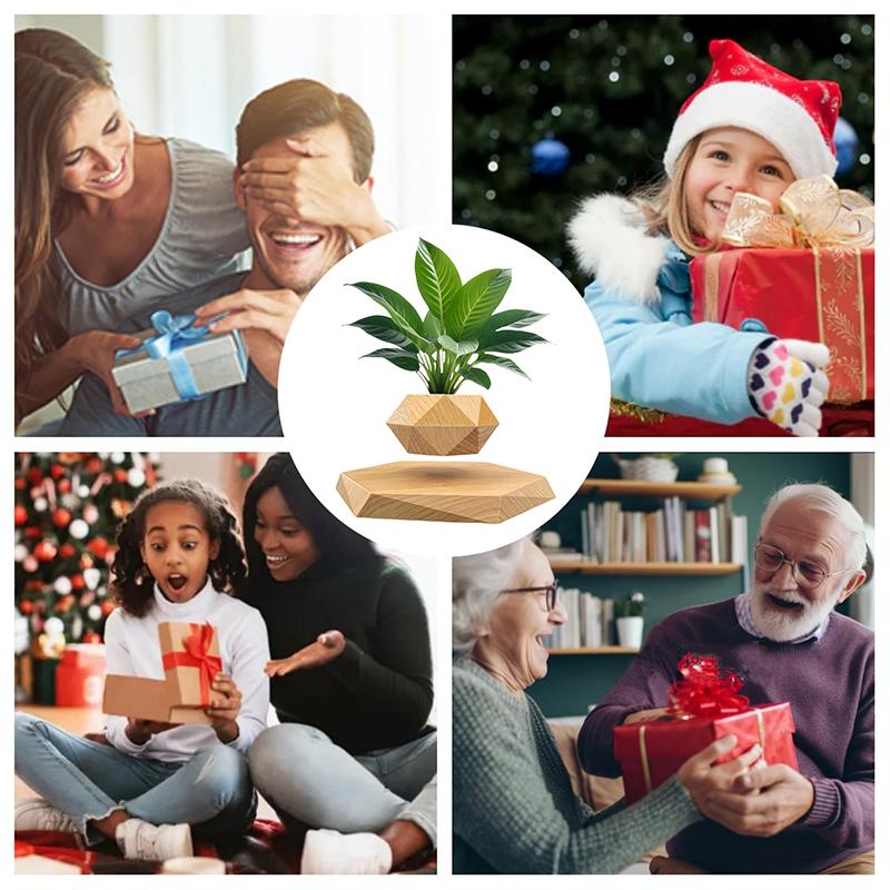 Levitating Air Bonsai Pot Rotation Flower Pot Planters Magnetic Suspension Floating Pot Potted Plant Home Without Plants