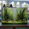 Multi-function External Filter Box Top-mounted Filter Filter Irrigation System  Aquarium Use