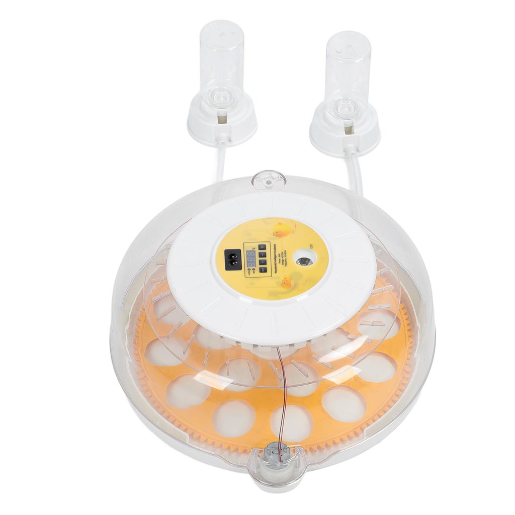 Eggs Incubator Automatic Turner Versatile Transparent Lid Easy To Use Egg Hatching Incubator for
