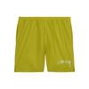 Nike X Stussy Collaboration FW23 Logo Print Waterproof Casual Shorts Unisex Bottoms Light-Green FJ9167-344
