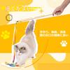 Cat Cat Colorful Ribbon Cat Popular Pet Zelkova Rainbow For Indoor Cats Toy, Teaser, Toy, Toy, Wood, Design, Kitten-Safe, Ultra-Lightweight, Soft,