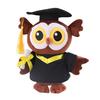 Graduation Owl Bear Doll Cute Plush Class of 2025 Gift for Her