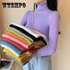 Autumn Winter Sweater Women Turtleneck Sweaters Knitted Jumper Solid Long Sleeve Slim Pullover Sweater Women Korean Fashion Basic Top Clothes