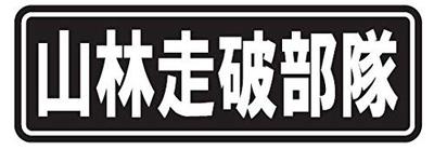 Off-Road Motorcycle & Quad Drive Car Swingarm Sticker for Selo 225 250 DT WR250