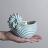 Ceramiczny Świecznik w Kształcie Muszli do Wystroju Domu Motyw Oceaniczny Doniczka na Sukulenty Miniaturowa Doniczka Dekoracyjny Pojemnik