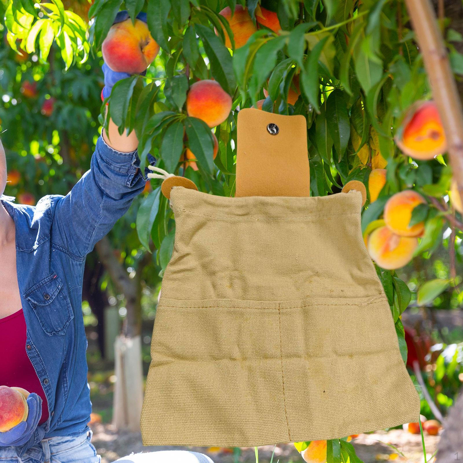 

Fruit Picking Bag Gardening Tool Multipurpose Folding Harvesting Pouch for Outdoor Enthusiasts хакі