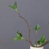 44Cm New Single Branch Dry Branch Sprout Simulation Green Plant European Home Decoration Single Branch Sprout Green Plant