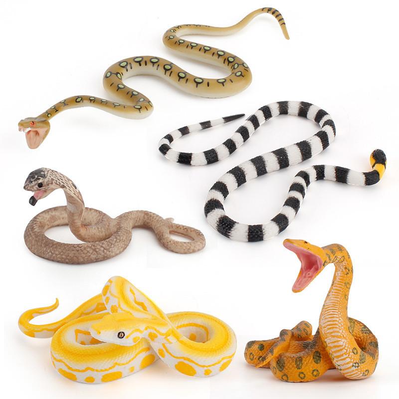 Reptile Pvc Snake Models For Educational Displays And Kids Learning Toys