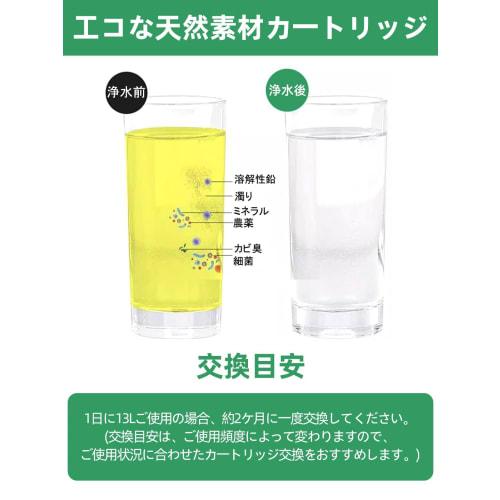 Genuine JF-21-T Replacement Water Purifier Cartridges (3-Pack) All-in-One Chlorine Removal Cartridges