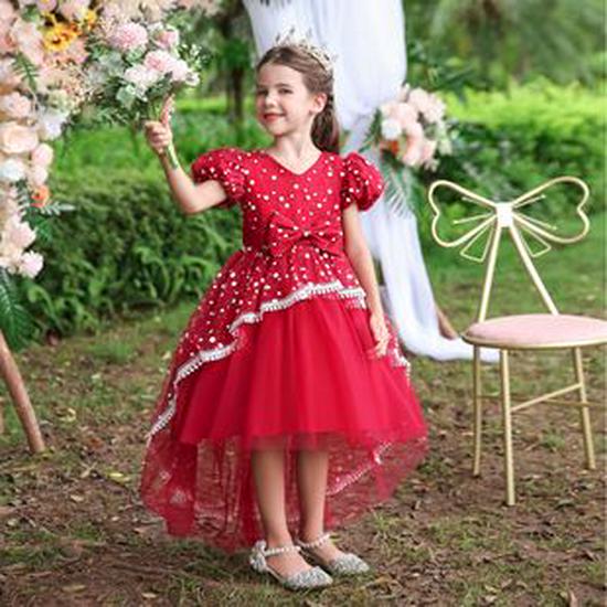 Vestido de Princesa de Renda de Cintura Alta Estilo Coreano com Saia de Tule para Damas de Honra