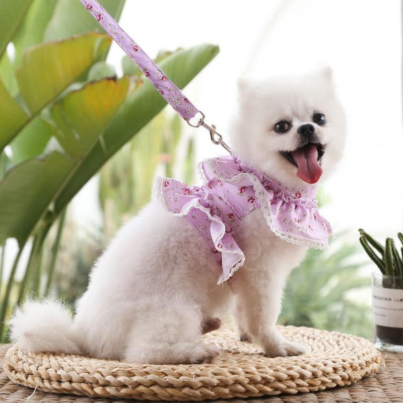 Adjustable Pet Harness With Leash Small Dogs Cats Teddy Bichon Fashion Floral Trim