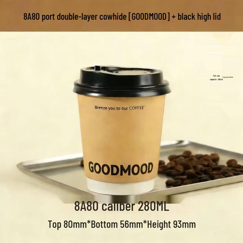 Double-Layer Insulated Hot Drink Cups